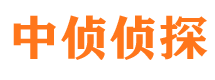 东海岛侦探公司